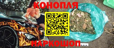 мяу мяу мука Кунгур